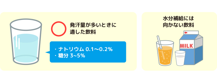 発汗量が多いときに適した飲料