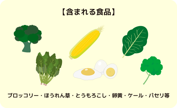 【含まれる食品】ブロッコリー・ほうれん草・とうもろこし・卵黄・ケール・パセリ等