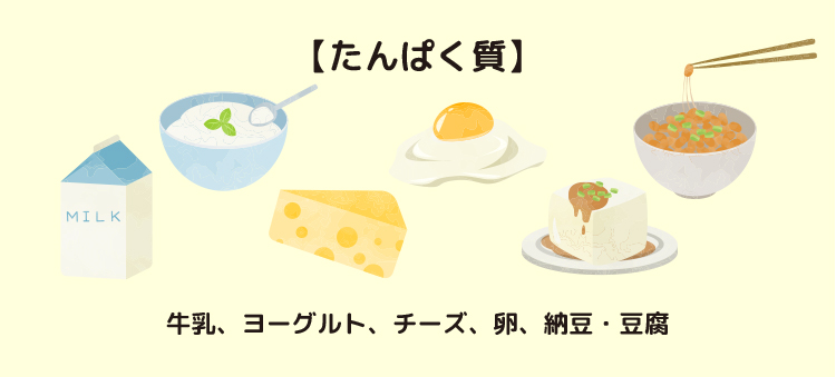 【たんぱく質】牛乳、ヨーグルト、チーズ、卵、納豆・豆腐