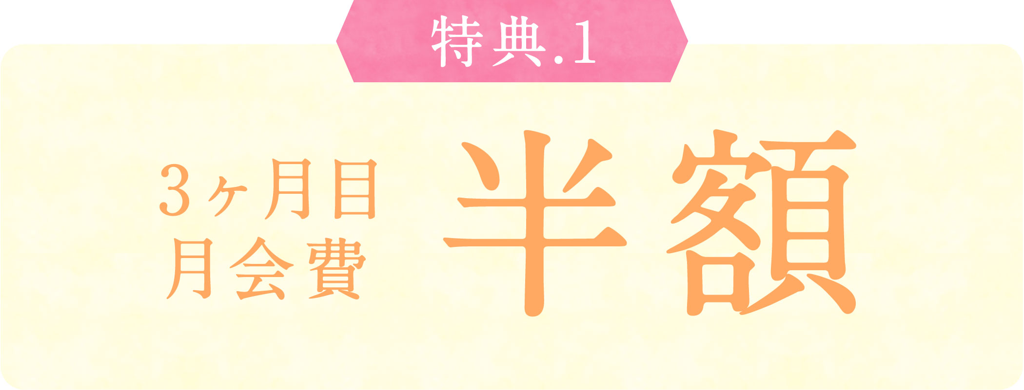 3ヶ月目月会費半額