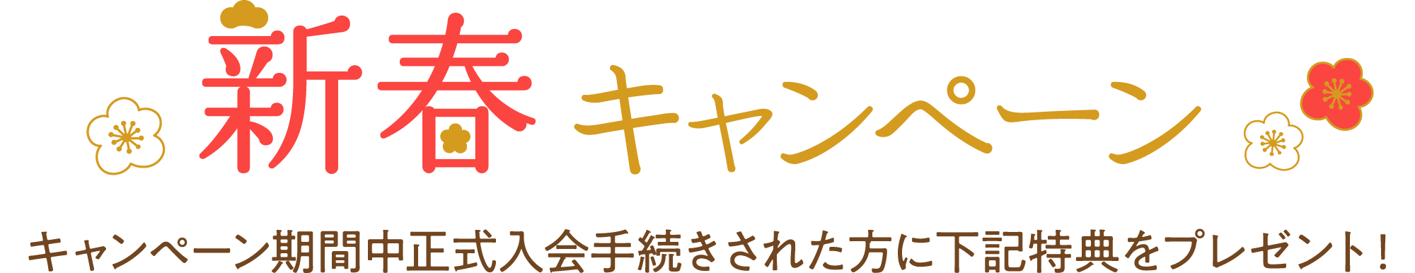 新春キャンペーン