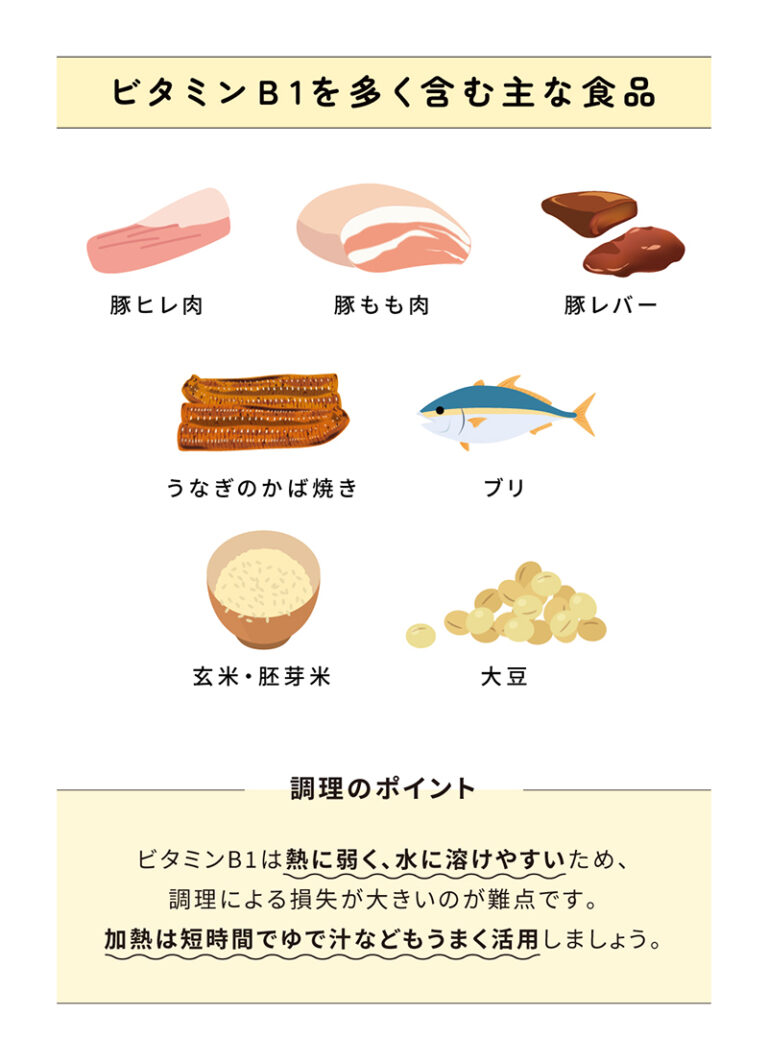 Good habits for the body Vitamin B1 for a less tired body