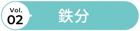 vol.2 鉄分