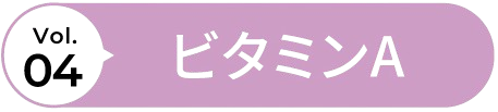 vol.4 鉄分