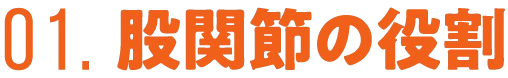 01.股関節の役割