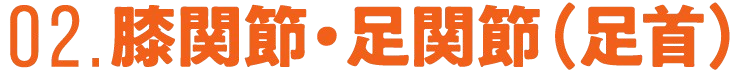 02.膝関節・足関節（足首）