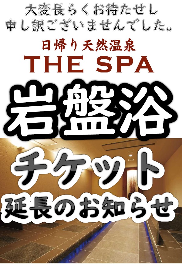 THE SPA 西新井 回数券 11回分 セントラルスポーツ